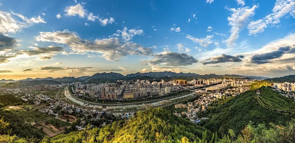 今年商洛市1775萬畝森林參加政策性保險鳳凰網陜西_鳳凰網