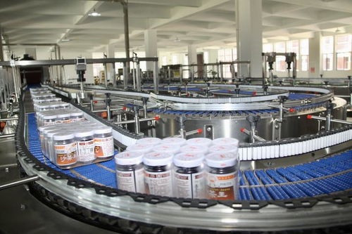 非遺技藝守匠心 潮汕美味香自飄