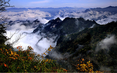 商洛市-柞水縣 ( 秦嶺 )