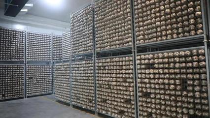 商洛市重點項目建設現場觀摩活動與會人員集中觀摩洛南三大項目