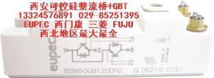 供應商洛銅川BSM150GB60DLC優派克IGBT模塊生產報價_電子元器件_世界工廠網中國產品信息庫