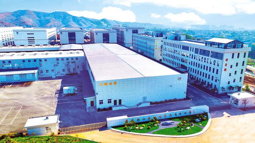 上半年重點(diǎn)項(xiàng)目觀摩 丹鳳縣這些項(xiàng)目接受 檢閱