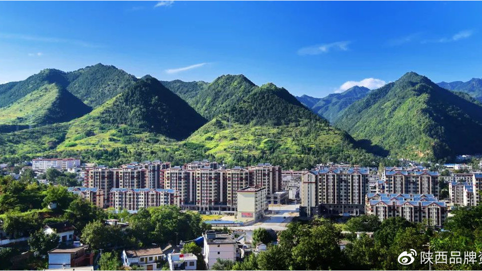 商洛市洛南縣自然資源局開展"秦嶺生態(tài)衛(wèi)士"行動(dòng)