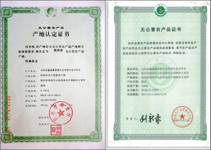 陜西商洛打工農民王成返鄉養殖藏香豬年產值200萬