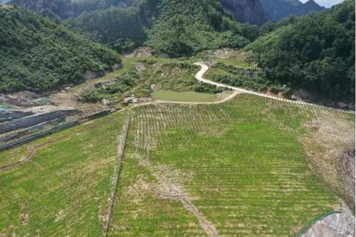 商洛 綠滿礦山滿目春 金山銀山日時新