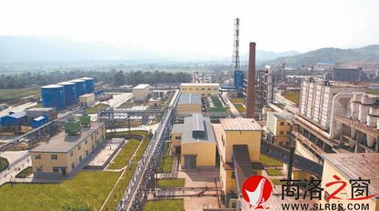 奮力升起的 朝陽