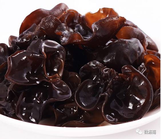 商洛市村級黨組織第一書記代言代銷扶貧產品展播(洛南縣香菇產業)_巡