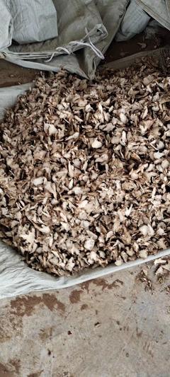 [連翹批發]陜西商洛山陽縣連翹 49.00元/斤連翹,秦嶺南,山 _ 一畝田