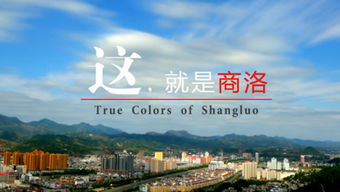 中國(guó)臺(tái)灣網(wǎng)的個(gè)人頻道