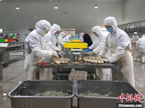 陜西商洛 秦嶺山貨 加速 出海 2022年出口總值增長(zhǎng)63