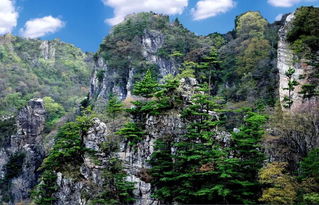 我市在全省全域旅游創建半年考核中排名第二