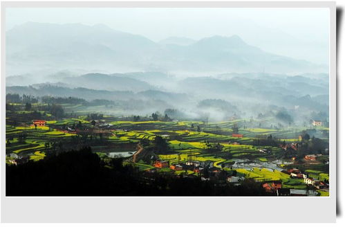 希望的田野 商洛人的匯報作業