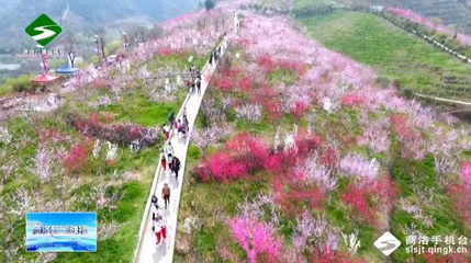 商洛:“4+X”產業筑牢利益聯結 56萬多人脫貧致富