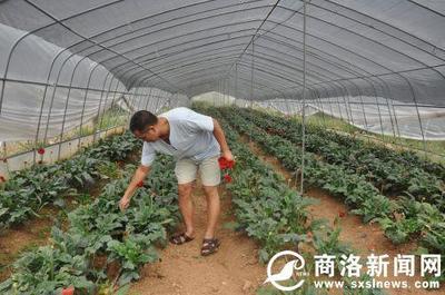 瓦房口鎮的精彩 “蝶變”