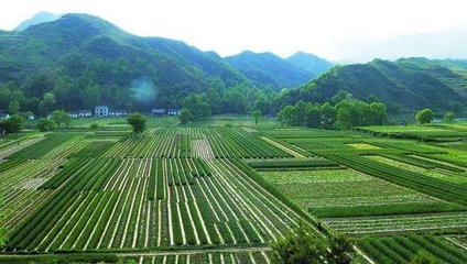 商洛市堅持“三化”路徑加快追趕超越的實踐與探索