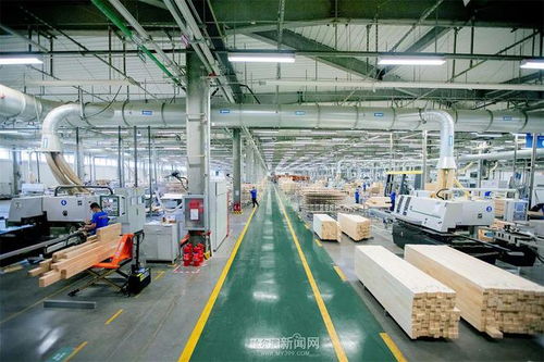 黑龍江省公布第三批綠色工廠名單丨森鷹 九三食品等哈市50戶企業入選