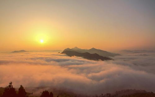 聚焦 綠巨人 開進商洛,列車即將啟程,請上車