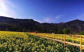 厲害了大商洛 陜西商洛市將打造成秦嶺休閑之都