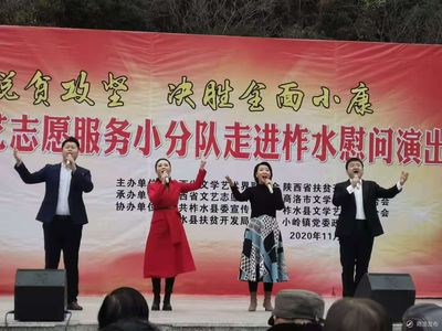陜西省文聯文藝志愿服務小分隊走進商洛開展慰問演出