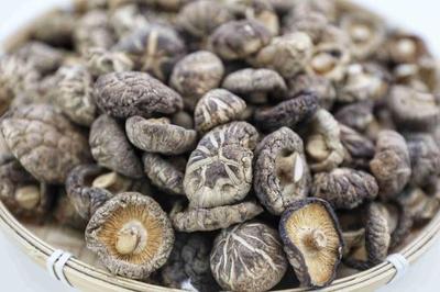 高質量發展看商洛|商南縣:產業智能化 讓小小食用菌長成富民強縣支柱產業