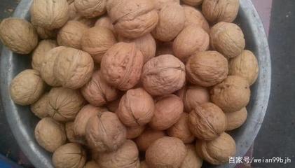 你知道嗎--陜西省十大特產