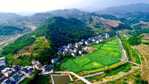 山花爛漫商洛行——春日賞花全攻略