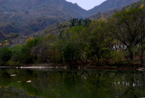 商洛最美民居 山水之間的詩(shī)意棲居