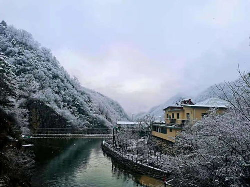 銀裝素裹 商洛小城的冬日童話